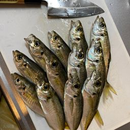 アジ
