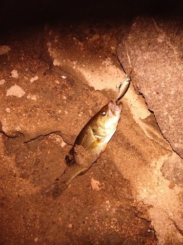 南畑ダム