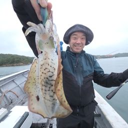 アオリイカ