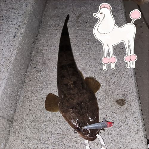 旧北上川河口
