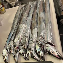 タチウオ