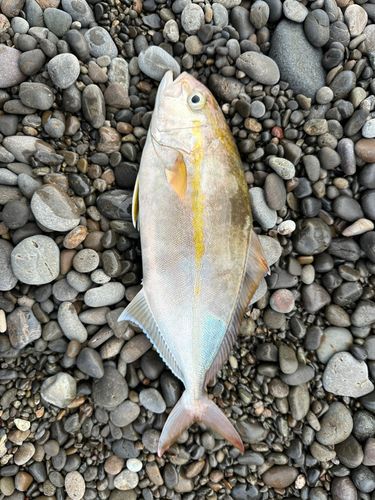 煙樹ヶ浜