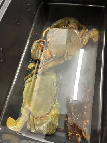 表浜名湖