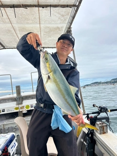 メジロの釣果