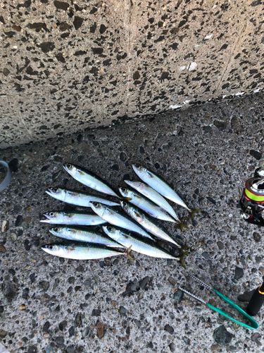 男鹿半島
