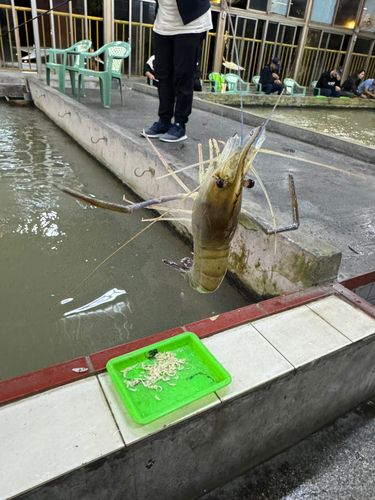 海外