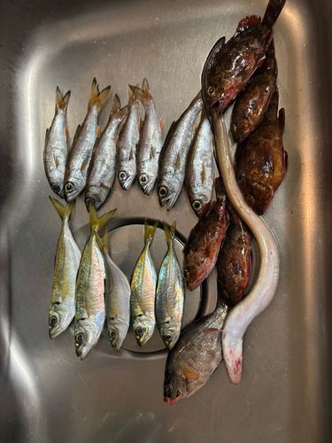 金沢水際線緑地（福浦岸壁）