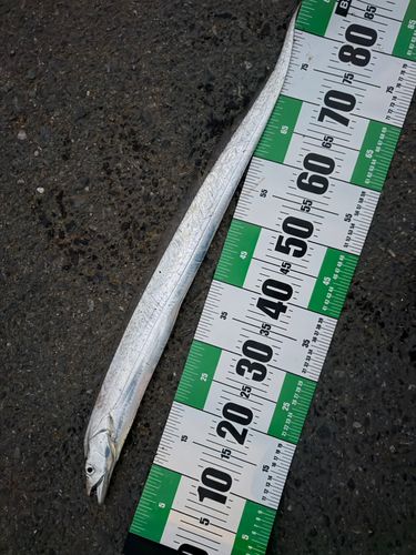 中央埠頭（博多湾）