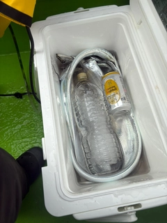 タチウオの釣果