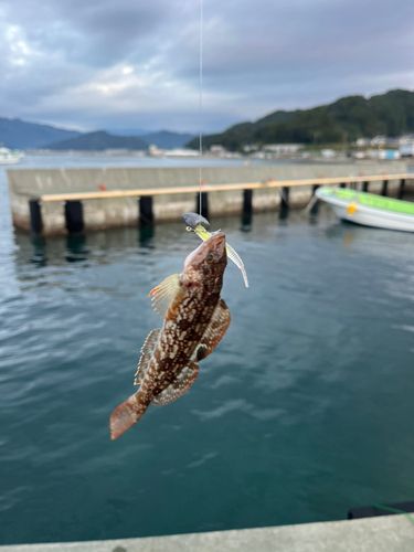 大槌湾