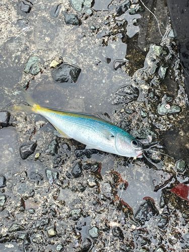 熱海港