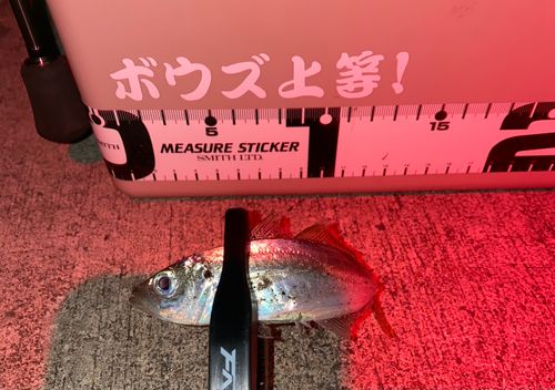 三陸海岸(宮城)
