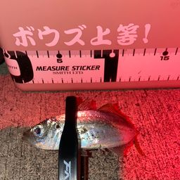 アジ