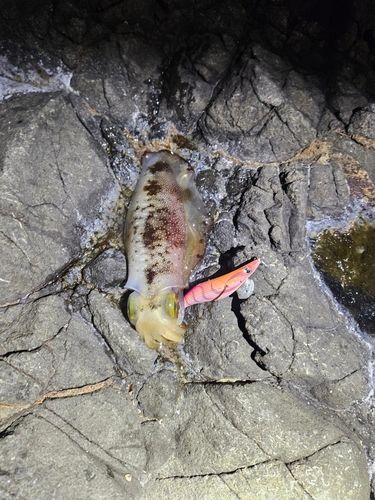 男鹿半島