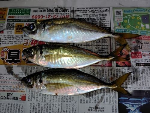 久美浜湾沖