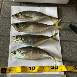 メッキ