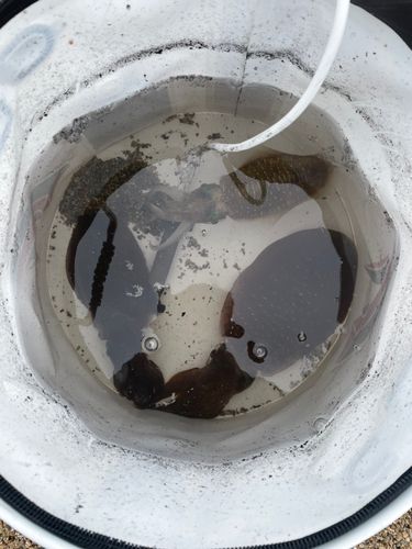 越前海岸