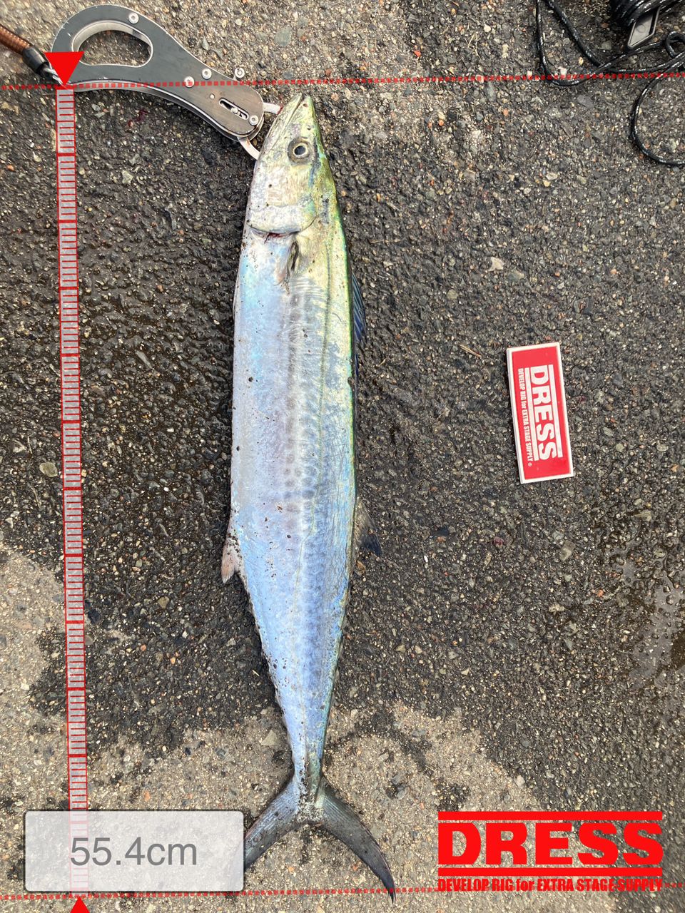 SHIMANO 19コルトスナイパー SS S96MHの最安値・インプレ・釣果 | 本音