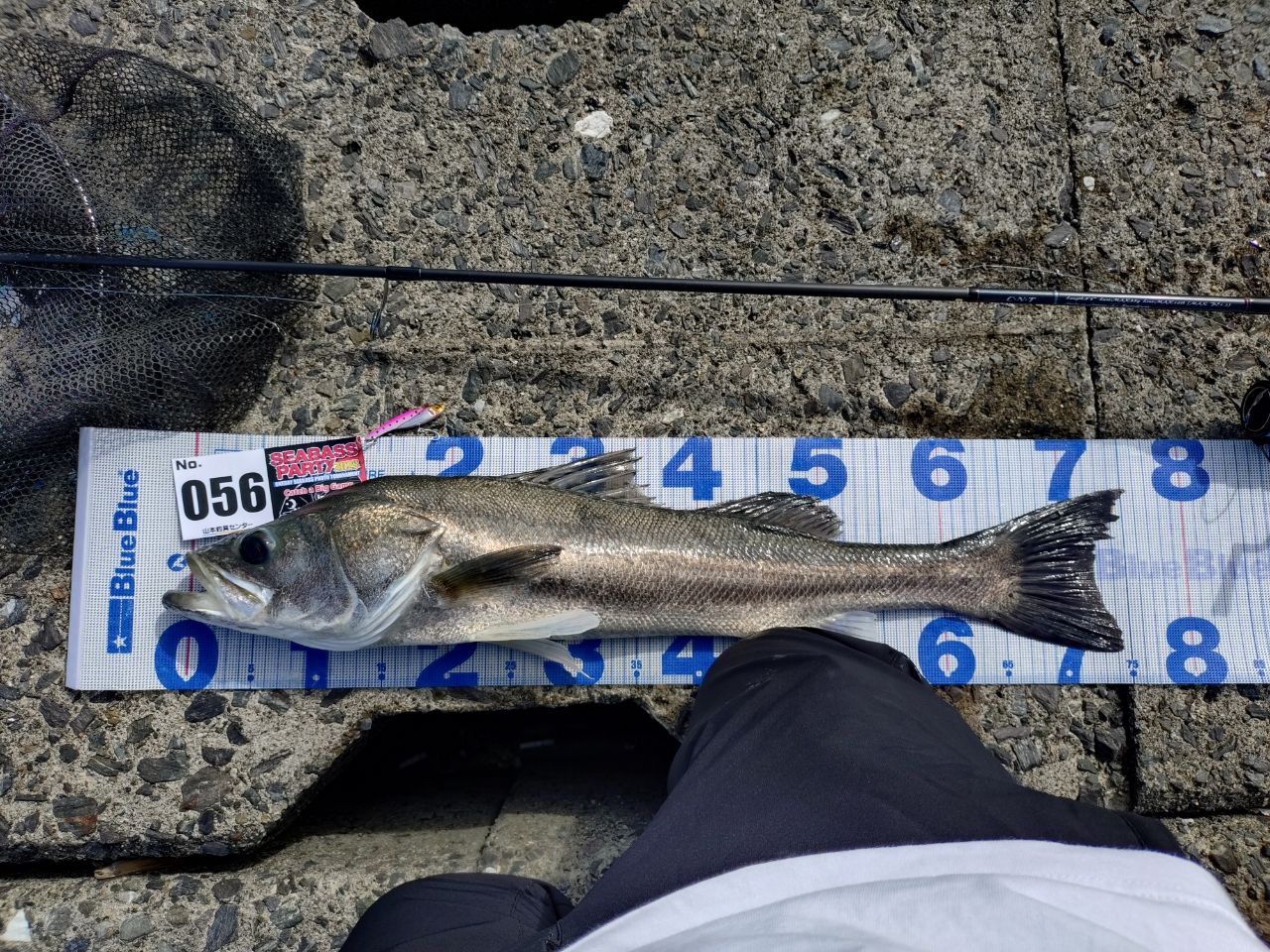 専用‼️天龍 テンリュウ スワット SW932S LML 天龍 SWAT SW932S-LML