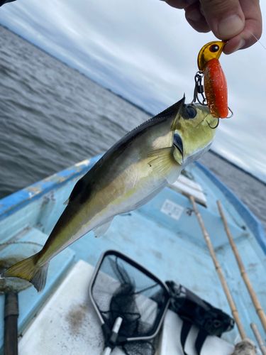 中浜名湖