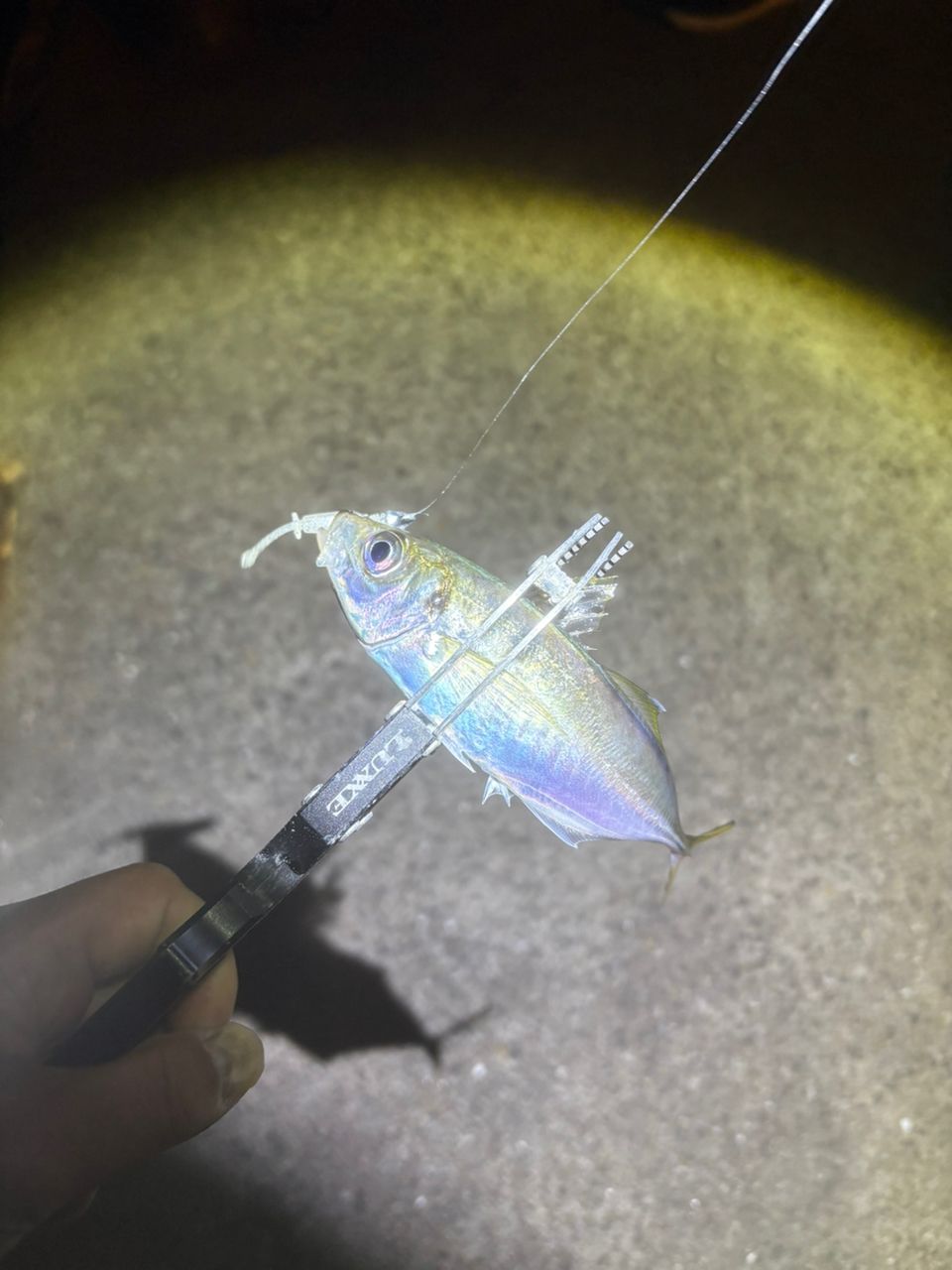 Gamakatsu ラグゼ 宵姫 華 弍 S54FL-solidの最安値・インプレ