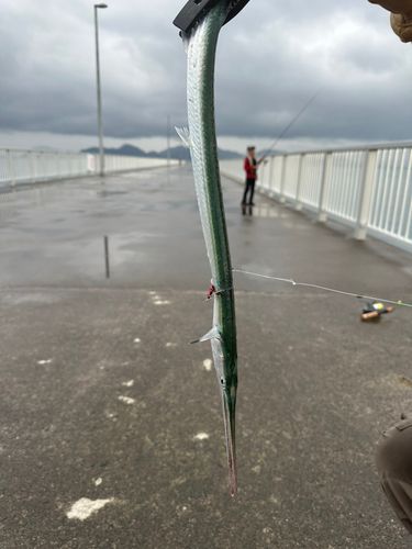 富田新港