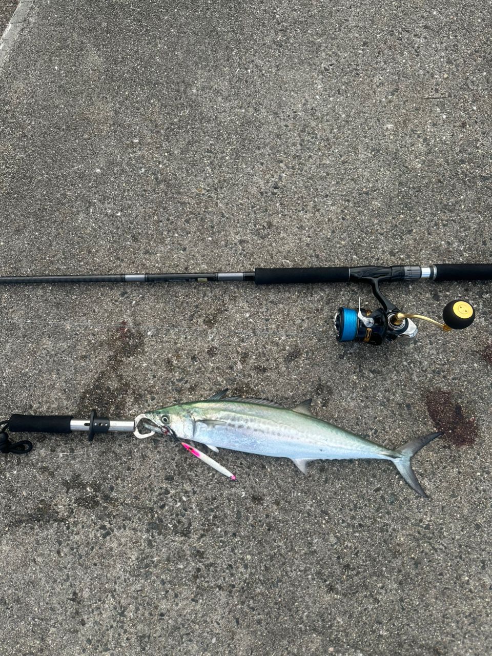 DAIWA 23レガリス LT5000-CXHの最安値・インプレ・釣果 | 本音の