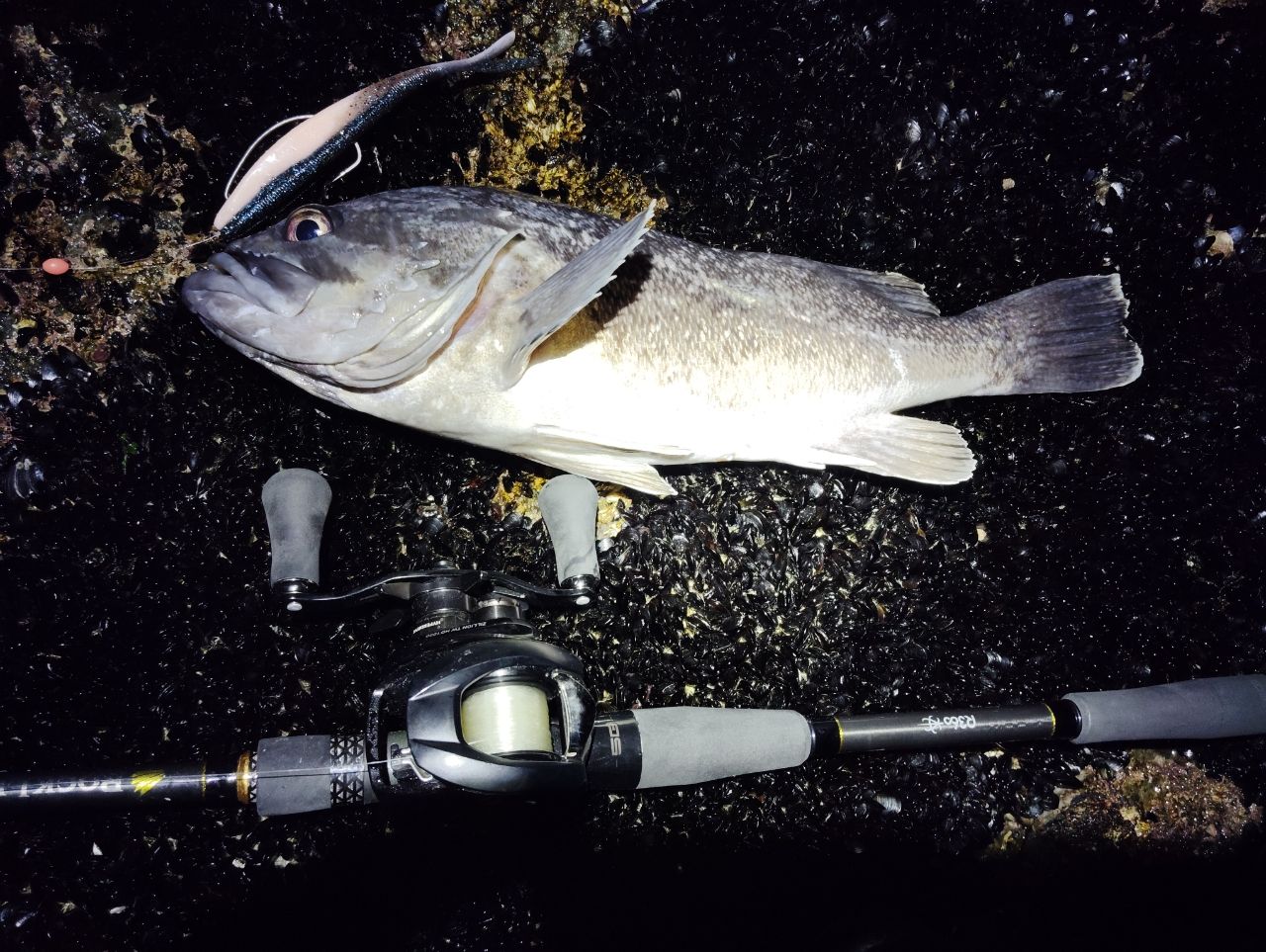 MajorCraft 23ロックライバー 5G RV5-902H/Bの最安値・インプレ・釣果