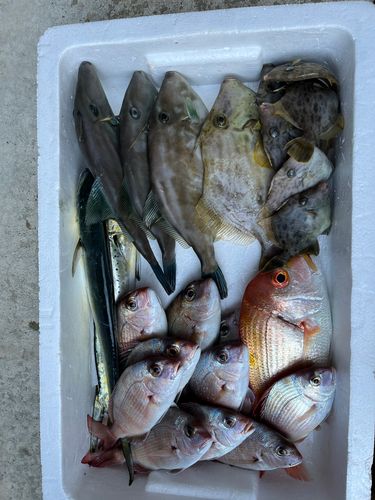 若狭湾