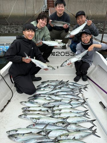 サワラの釣果