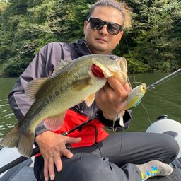 ラージマウスバス