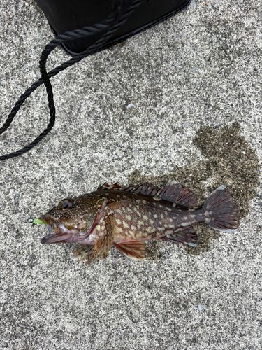 豊後水道