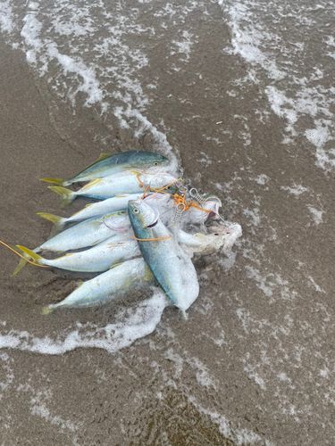 内灘海岸
