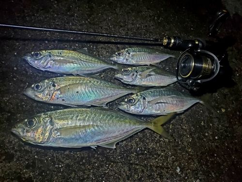 釣果