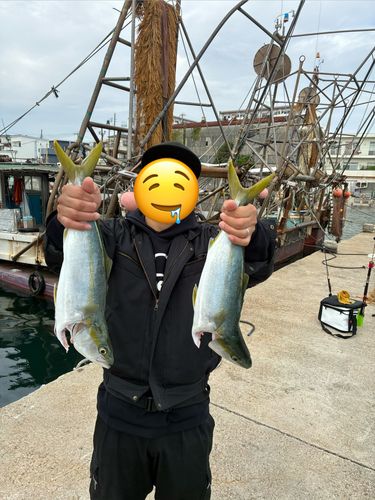 ツバスの釣果