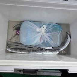 タチウオ