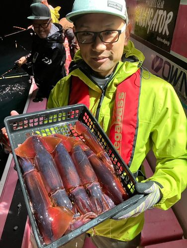 ムラサキイカの釣果