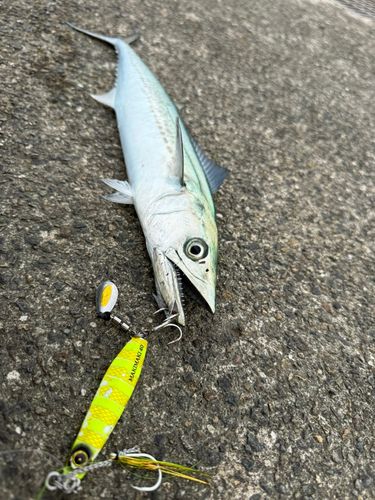大浜地区ふれあい広場