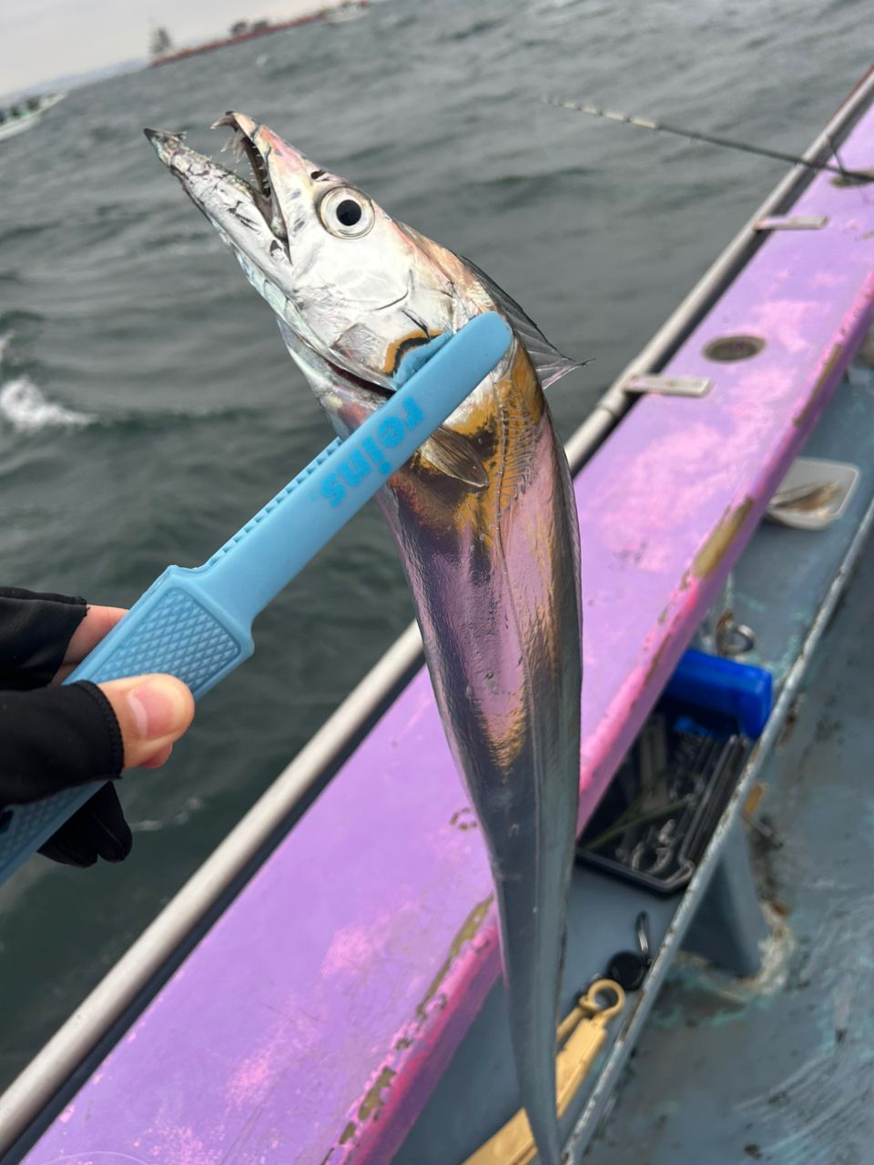 amijasさんの釣果 2枚目の画像