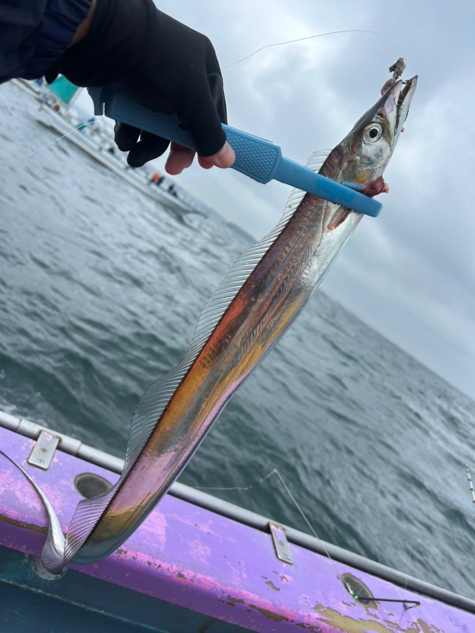 amijasさんの釣果 3枚目の画像