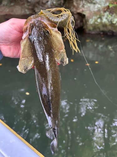 相模湖