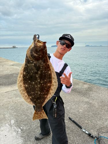 ヒラメの釣果