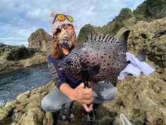 イシガキダイの釣果