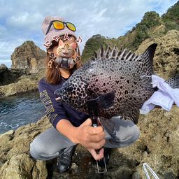 イシガキダイ