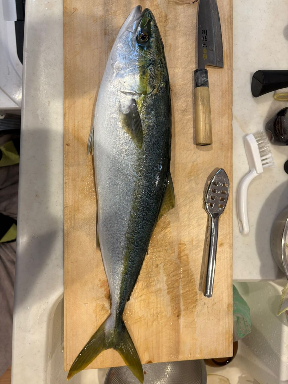 バタシーさんの釣果 2枚目の画像