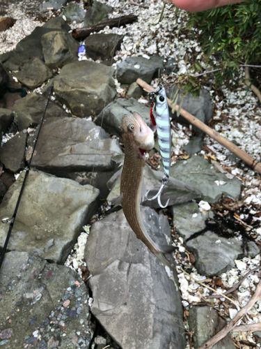 舞鶴湾