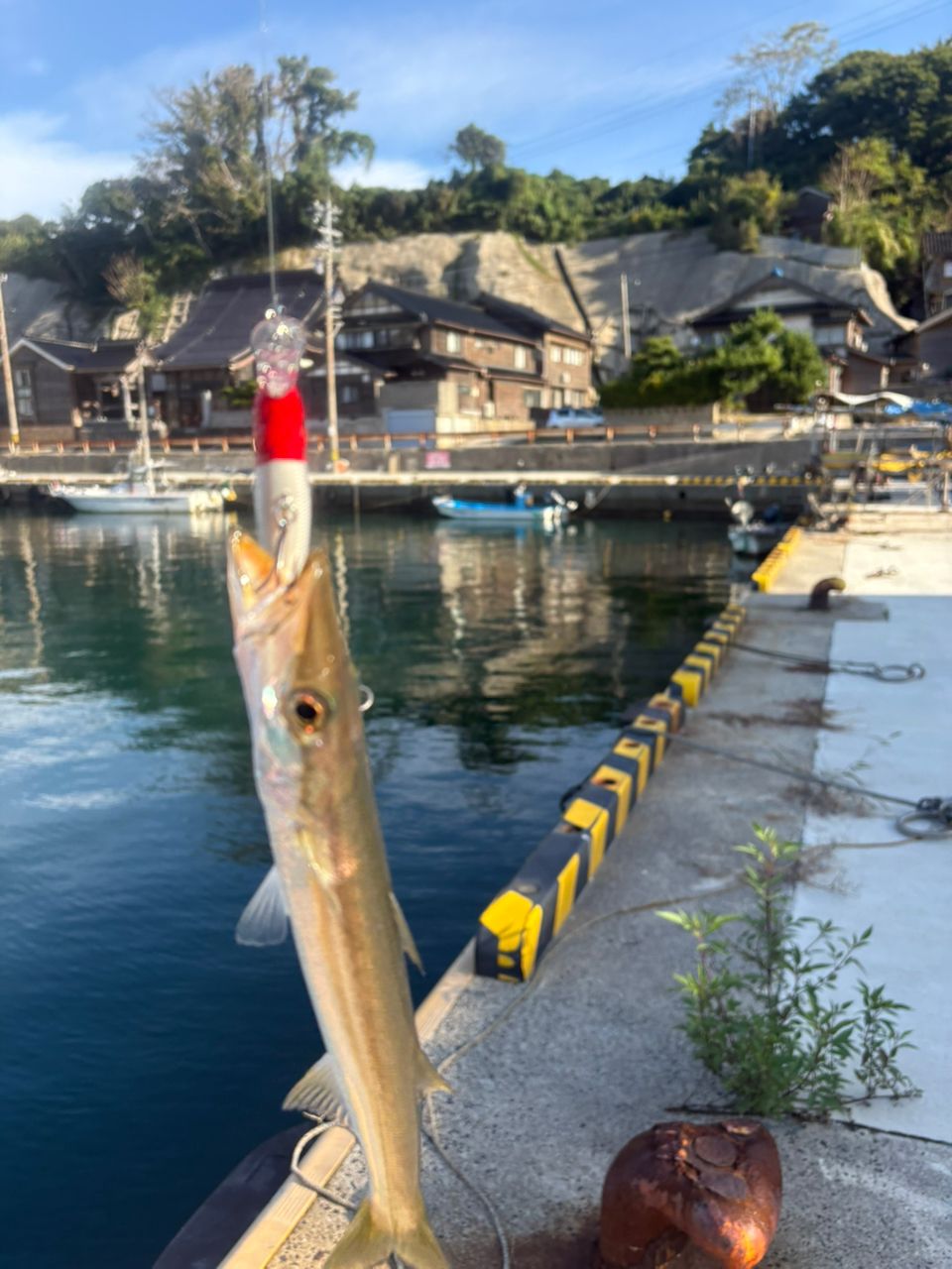 SHIMANO 19フリーゲーム XT S76Mの最安値・インプレ・釣果 | 本音の