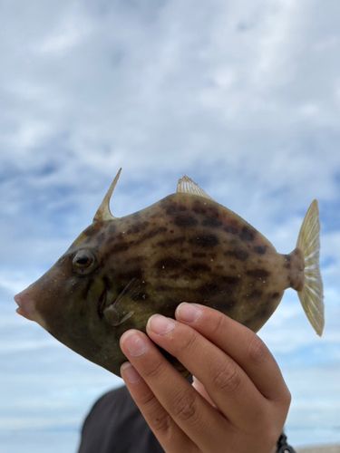 和歌浦湾