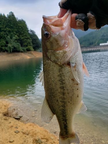 江川ダム