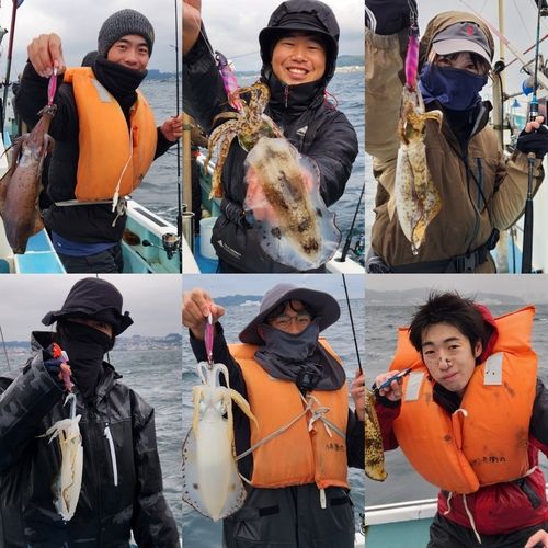 アオリイカの釣果